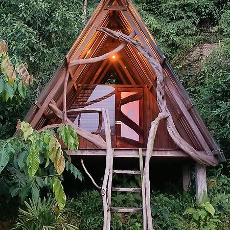 Jungle Roots Hotel Tena Exterior foto