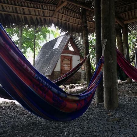 Jungle Roots Hotel Tena Exterior foto