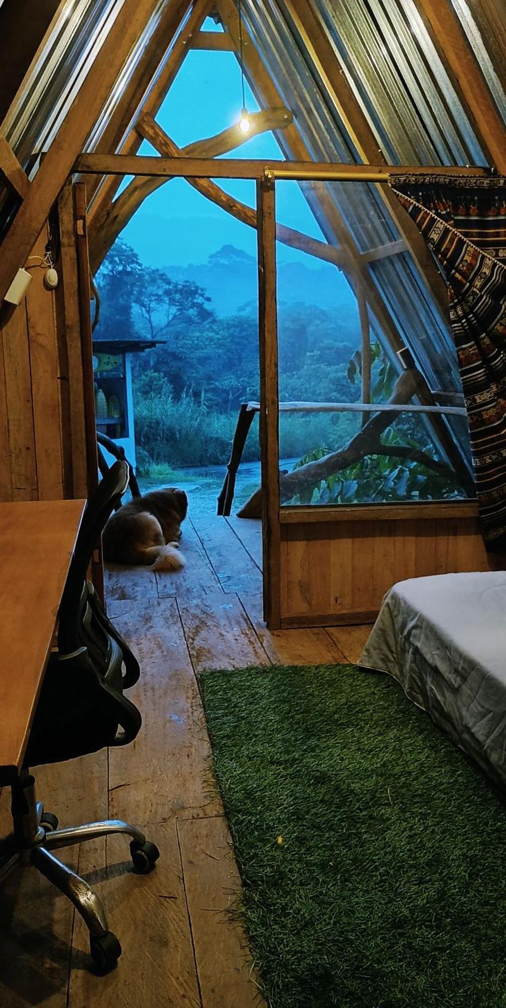 Jungle Roots Hotel Tena Cameră foto