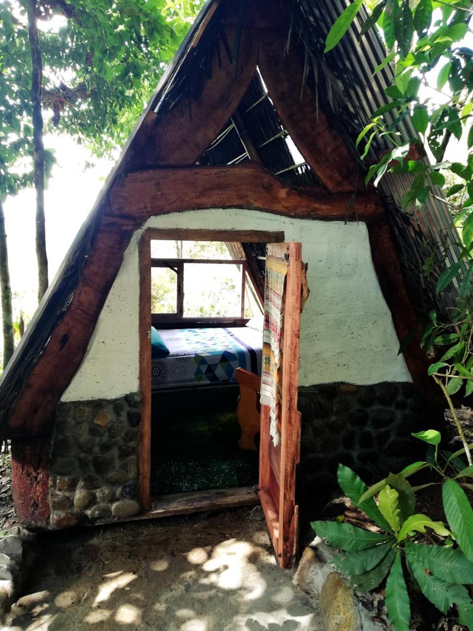 Jungle Roots Hotel Tena Exterior foto