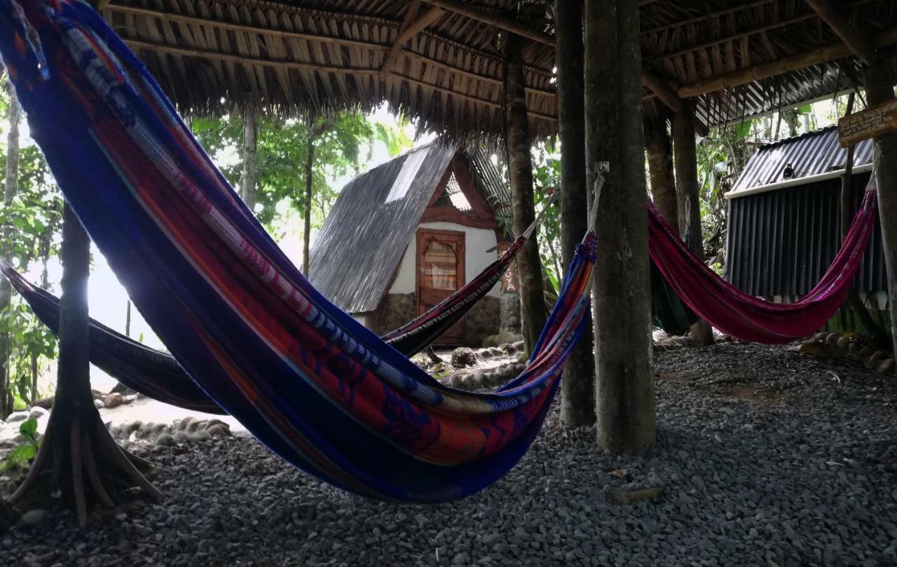 Jungle Roots Hotel Tena Exterior foto