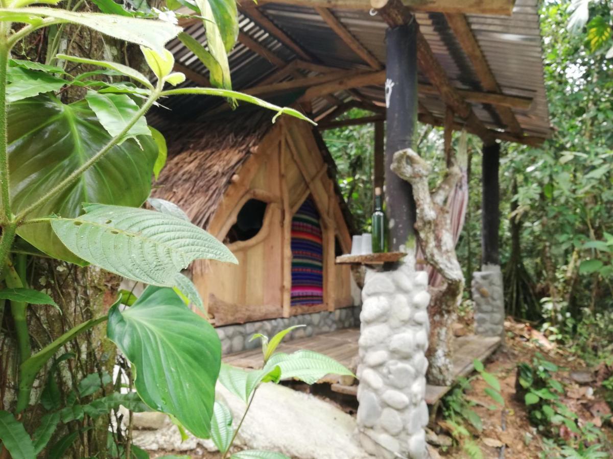Jungle Roots Hotel Tena Exterior foto